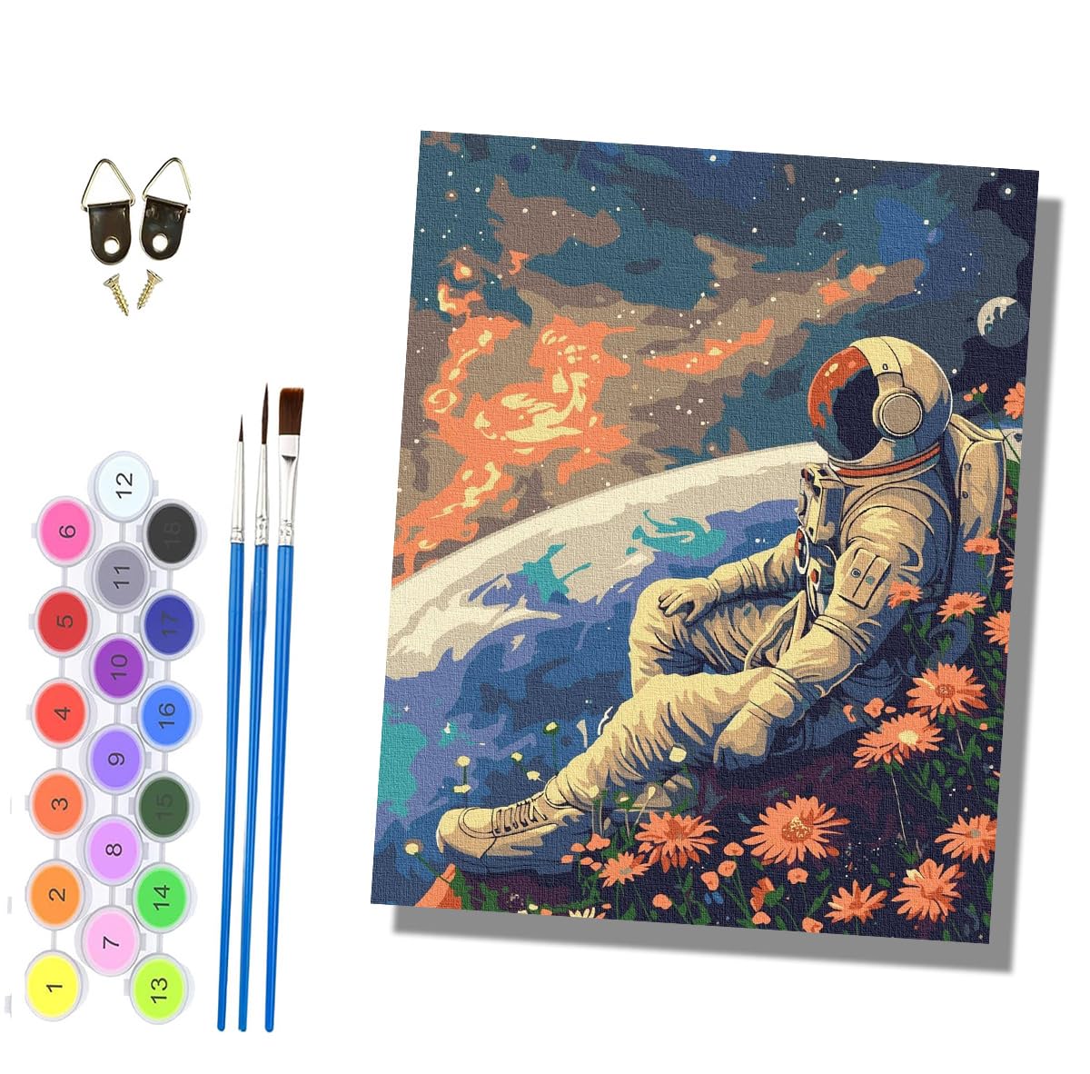 HONGPZH Paint by Numbers for Adults and Beginner Painting by Number Without Frame Oil Paintings on Canvas House Wall Decor 16x20in Astronauts on the Planet