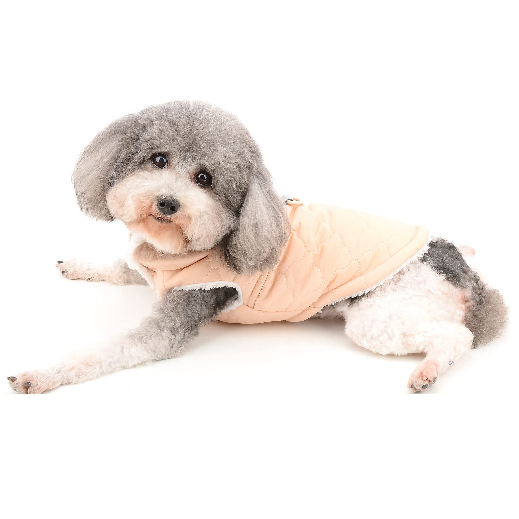 Ranphy Small Dog Fleece Lined Winter Coat for Boys Girls Furry Collar Cotton Jacket with D-Ring Cat Puppy Warm Pet Clothes Pup Shirt Cold Weather Apparel?Pink,S