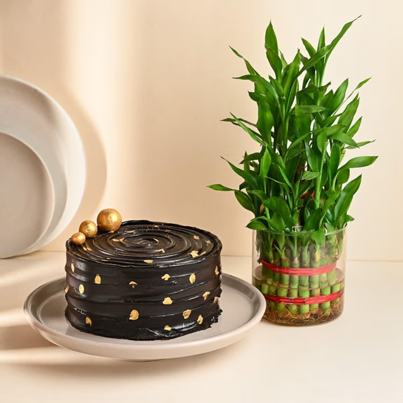FlowerAura Delicious Fresh 500g Yummy Chocolate Cake With Air Purifying 3 Layers Live Bamboo Plant For Valentines Day Gift, Birthday Gift, Anniversary Gift & Mothers Day Gift (Same Day Delivery) (B0CSZBZ3VQ) Amazon Price History, Amazon Price Tracker