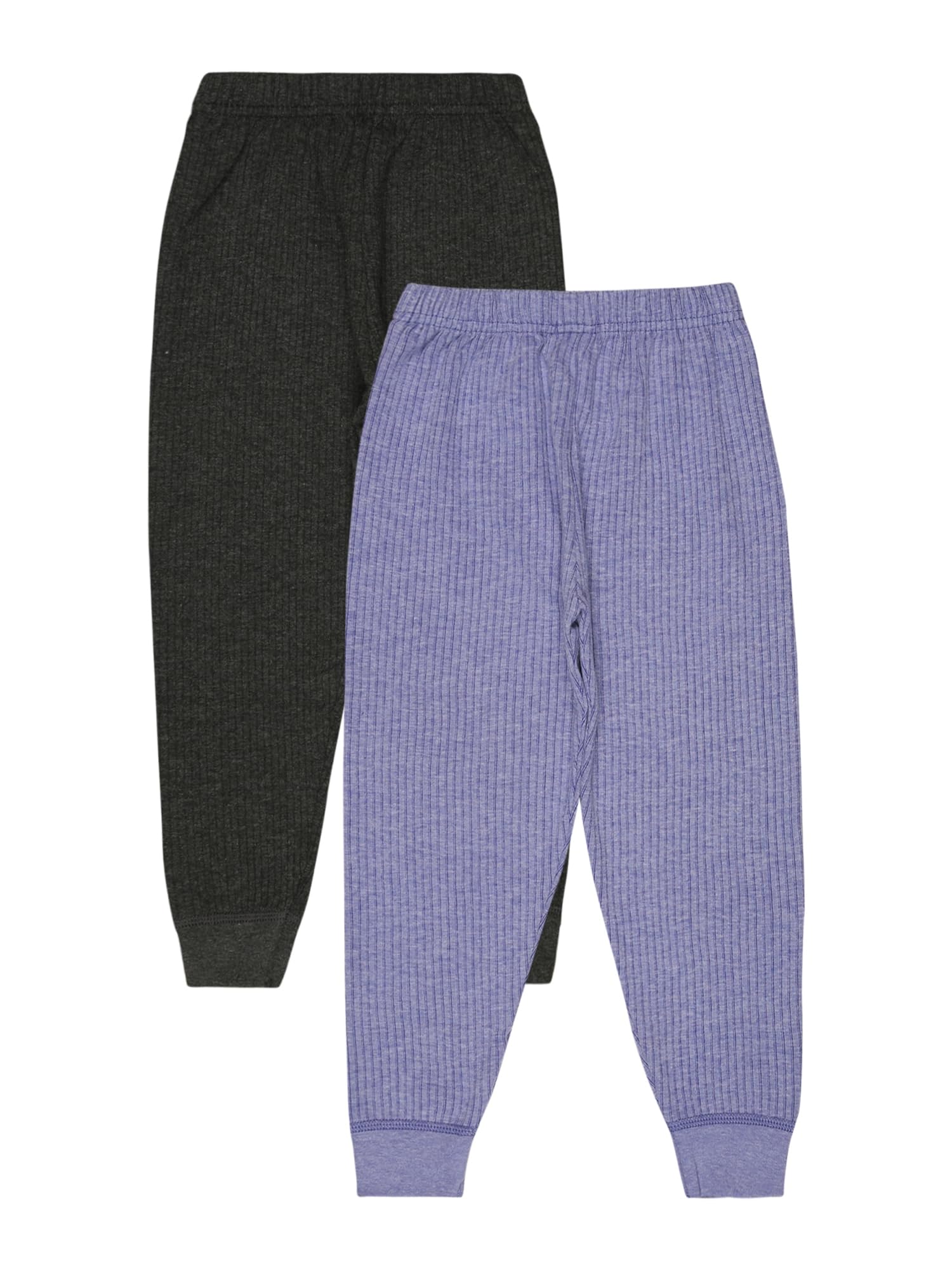 BODYCARE Unisex Regular Fit Thermal Bottoms Pack Of 2