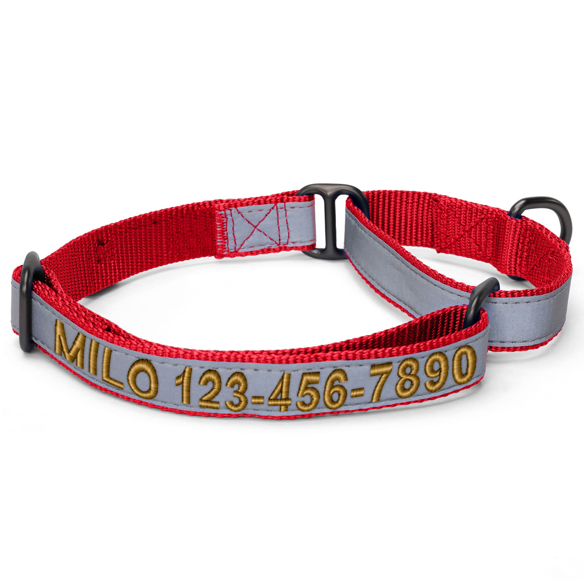 Pawtitas Customized Martingale Dog Collar