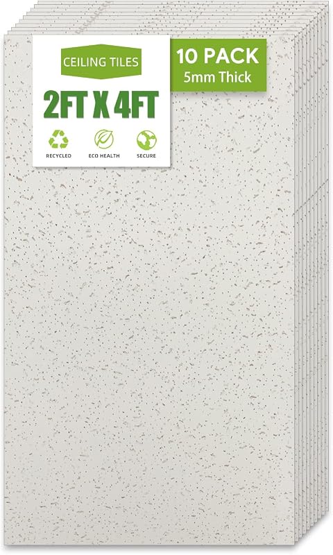 2ft x 4ft Printed Pro Ceiling Tile，Drop Ceiling Tiles 24 x 48in. Waterproof, Washable and Fire-Rated - Reusable - High-Grade PVC to Prevent Breakage-Package of 10 Tiles