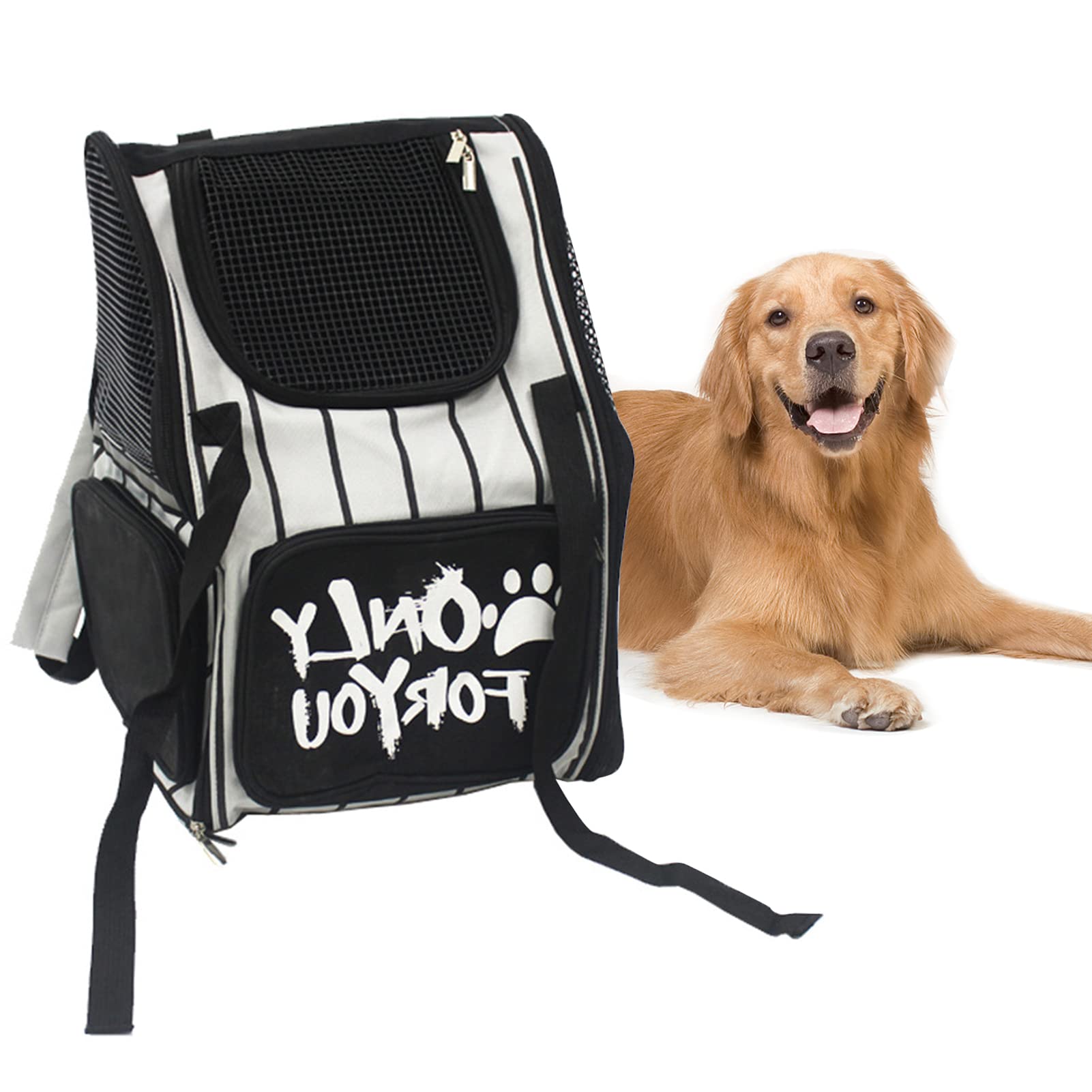 Sac à dos transport pour chien pour vos randonnées et sorties en plein air