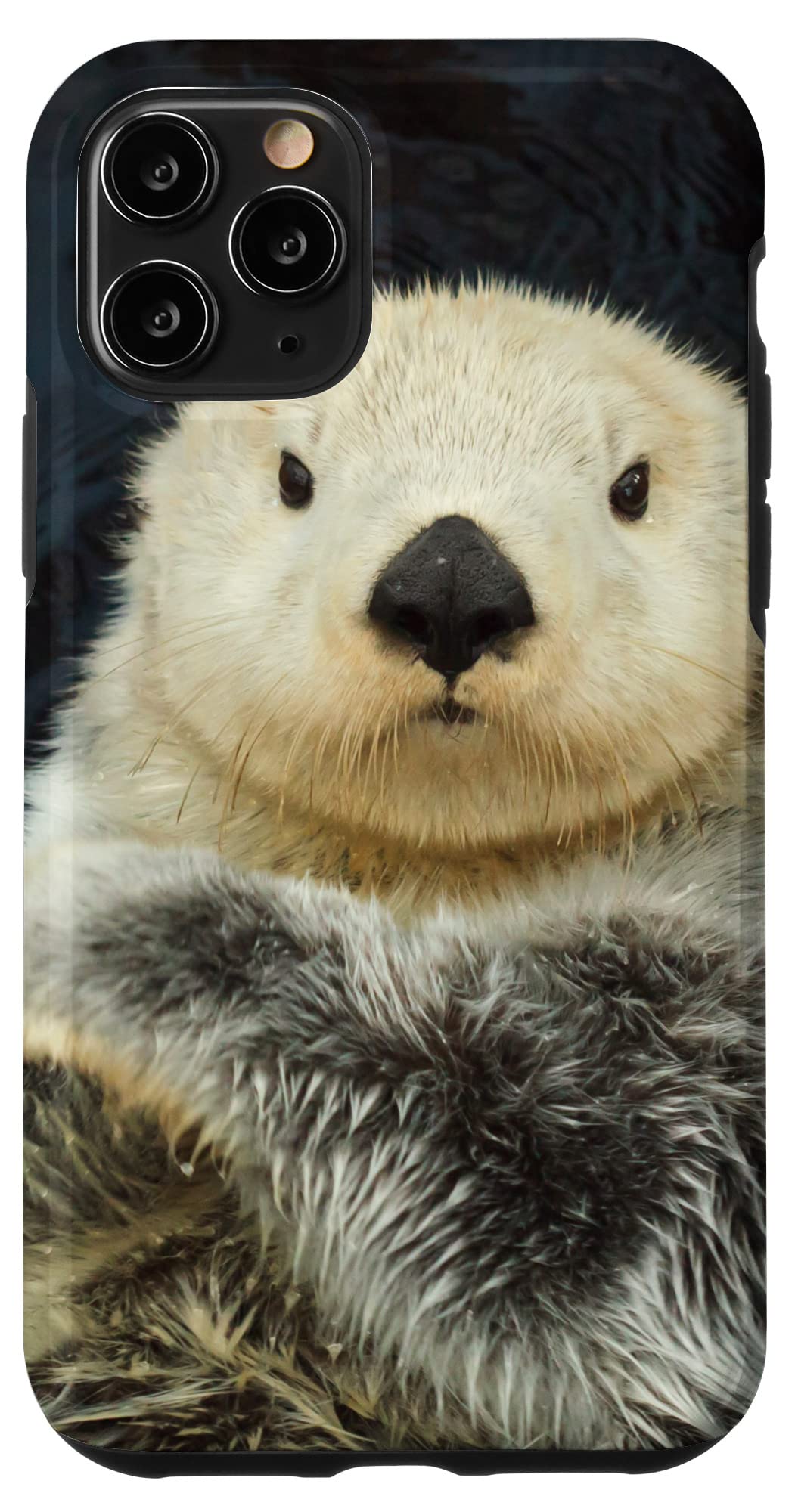 : かわいい海カワウソ 泳ぐ海苔 スマホケース iPhone 11 Pro 用 : 家電&カメラ