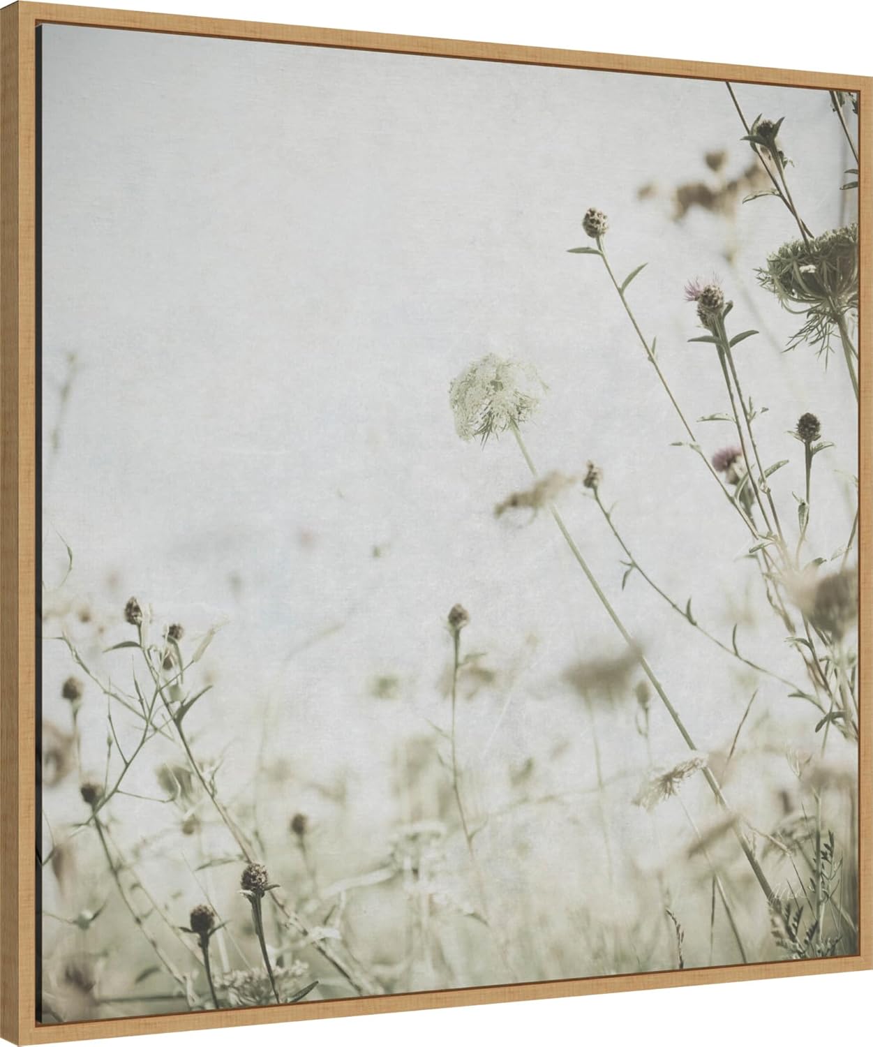 Amanti Art Framed Canvas Wall Art 30x30 Wild Flowers II No Texture by Deborah Revell, Framed Wall Art Canvas, Abstract Artwork, Modern Decor, Large Poster Painting for Living Room, Bedroom, Bathroom,