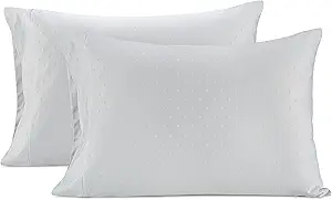 LANE LINEN Pillows Queen Size Set of 2, Soft 100% Egyptian Cotton, Cool & Smooth 1000 Thread Count Pillow Cases - Swiss Dot - White