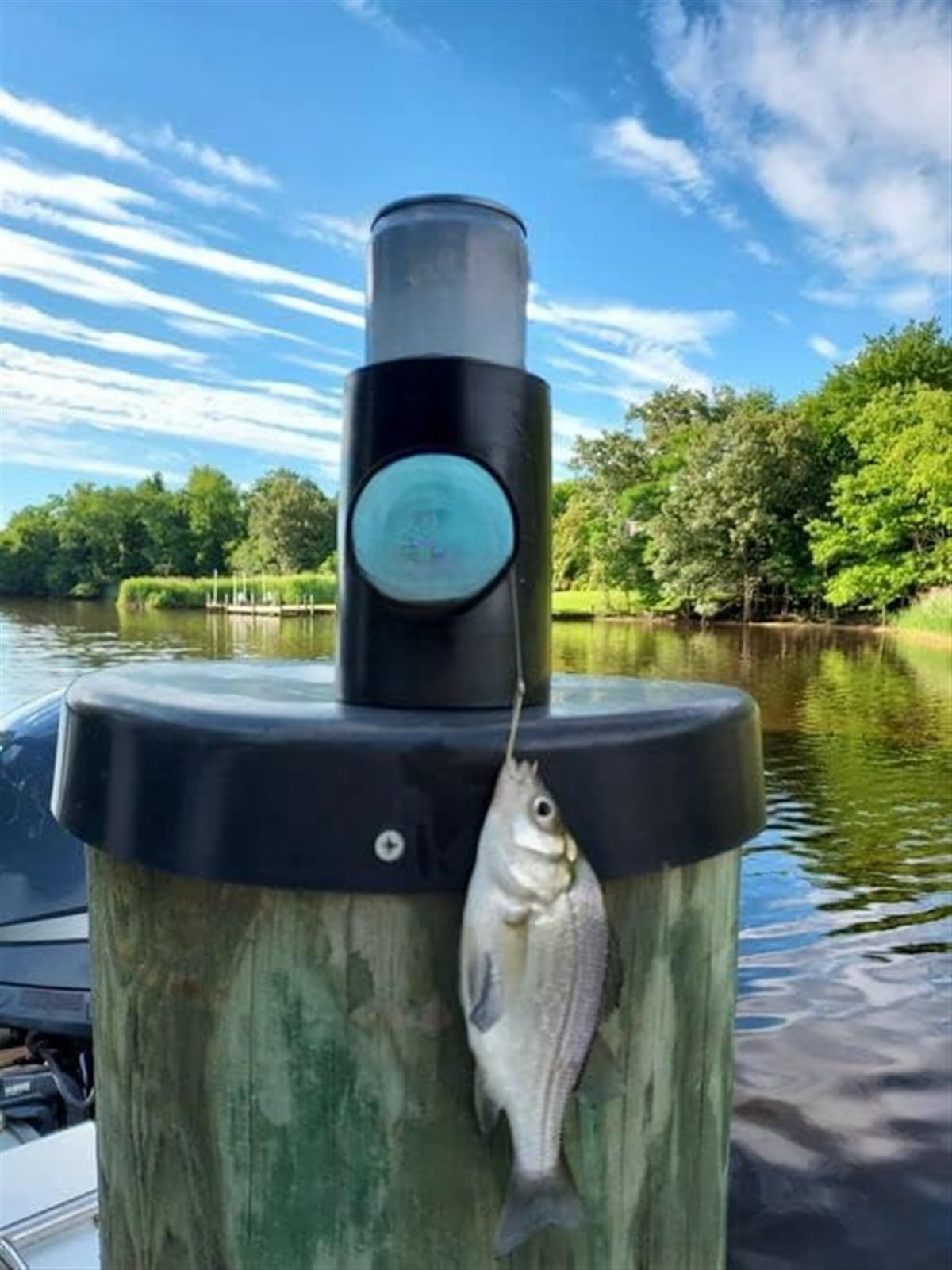 THE WHITE SHOP Fishing Can Cooler | Hard Shell Drink Holder with Hand Line Reel Attached | Fits Any Standard Insulator Sleeve | Unique Fun Fishing Gift (Color : BLACK)
