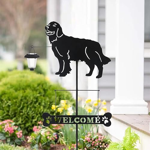Miniatura 8 de BAYN Estacas solares de jardín Golden Retriever decorativas con una linterna de perro, letrero de bienvenida para decoración de jardín al aire libre