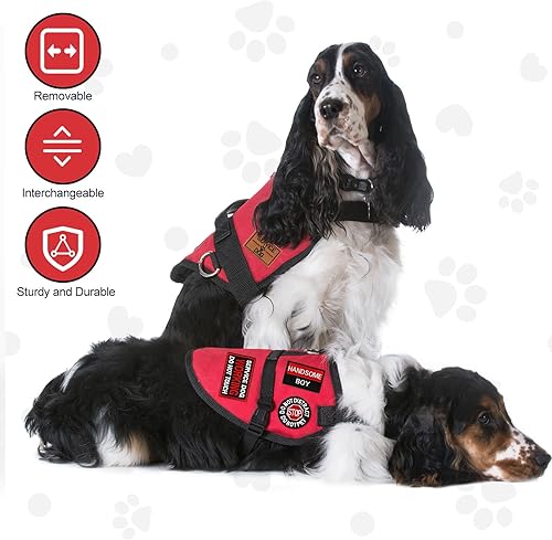 Miniatura 6 de Xunyee 30 parches de perro de servicio extraíbles Please Don't Pet Me in Training No Touch con cierres de gancho y bucle, parche táctico bordado