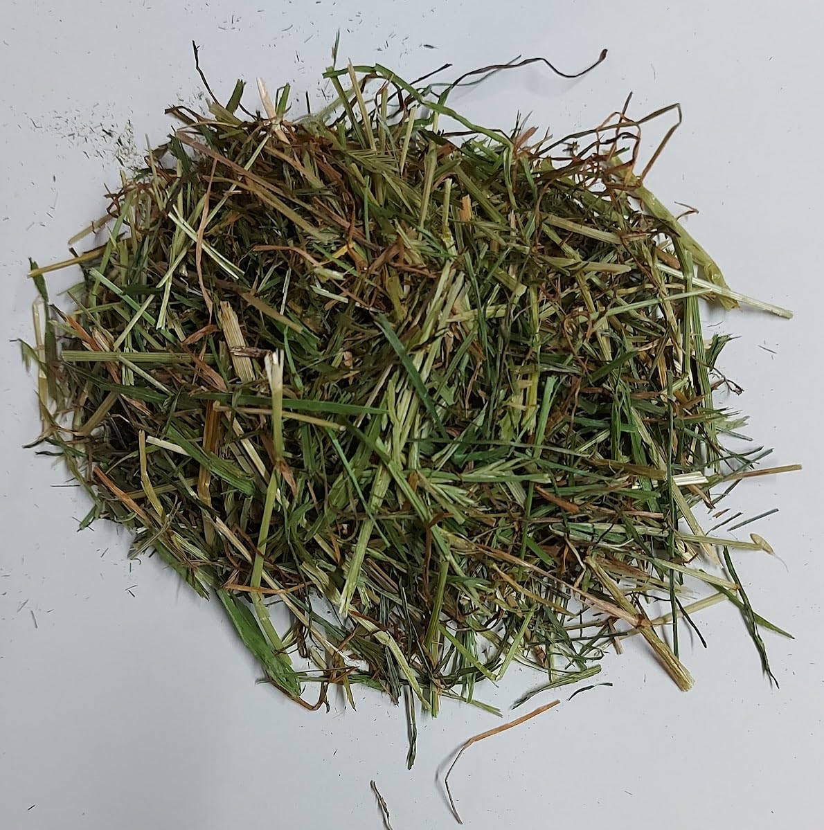 Cosy Tortoises Readigrass Ready to eat Tortoise Food 50g