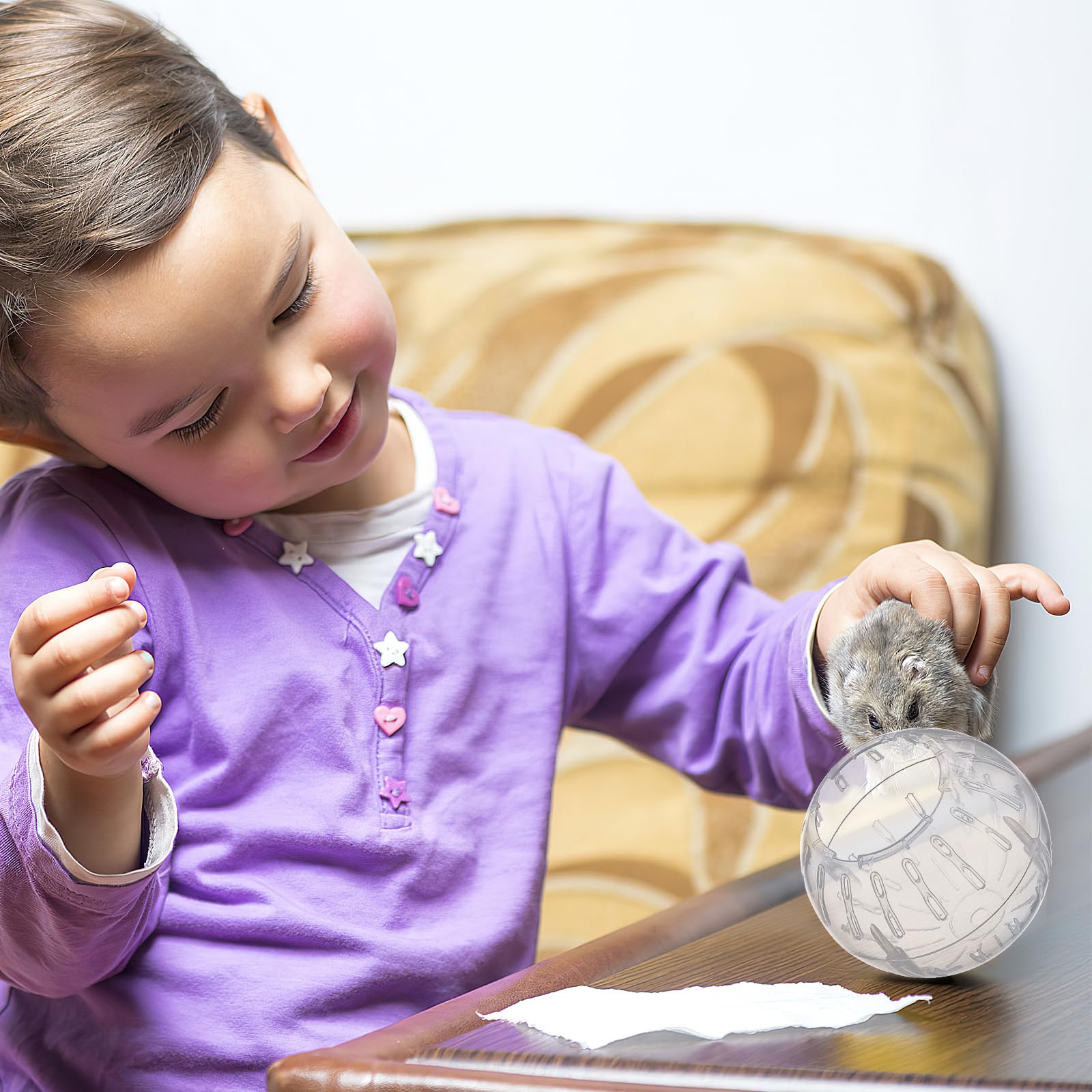 FOMIYES Hamster Exercise Ball, 3.93 Inch Transparent Running Ball for Dwarf Hamsters, Guinea Pigs, and Small Pets, Safe Plastic Design, Portable and Easy to Clean