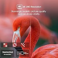 Vista 9 de Hisense - Televisión Smart 50A6H serie A6, de 50 pulgadas, con resolución 4K UHD, con Google TV, compatible con Alexa, Dolby Vision HDR, DTS Virtual