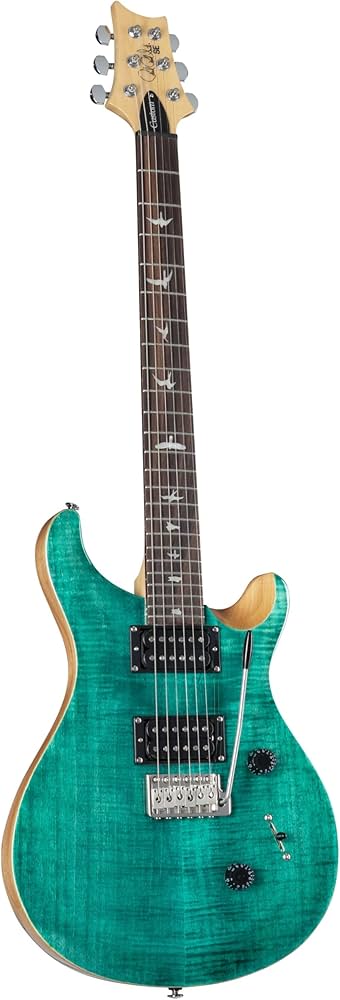 Amazon | Paul Reed Smith (PRS) / 2023 SE Custom24 Turquoise(TU