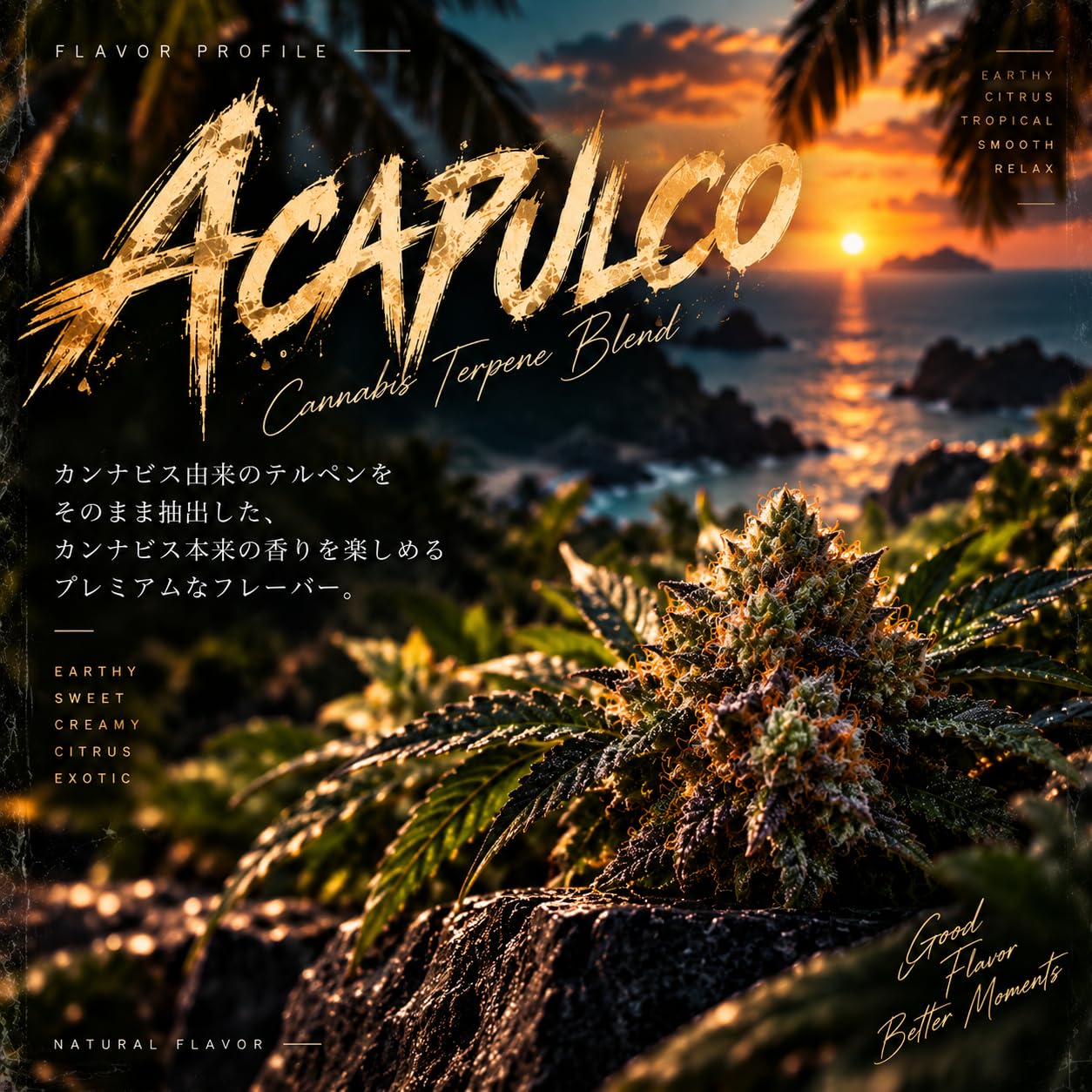 【王道】雲の先Acapulco H4CBH 1ml リアルフレーバー47 Amazon | 【VAMOS】H4CBH リキッド 510規格 HHBDフリー Acapulco
