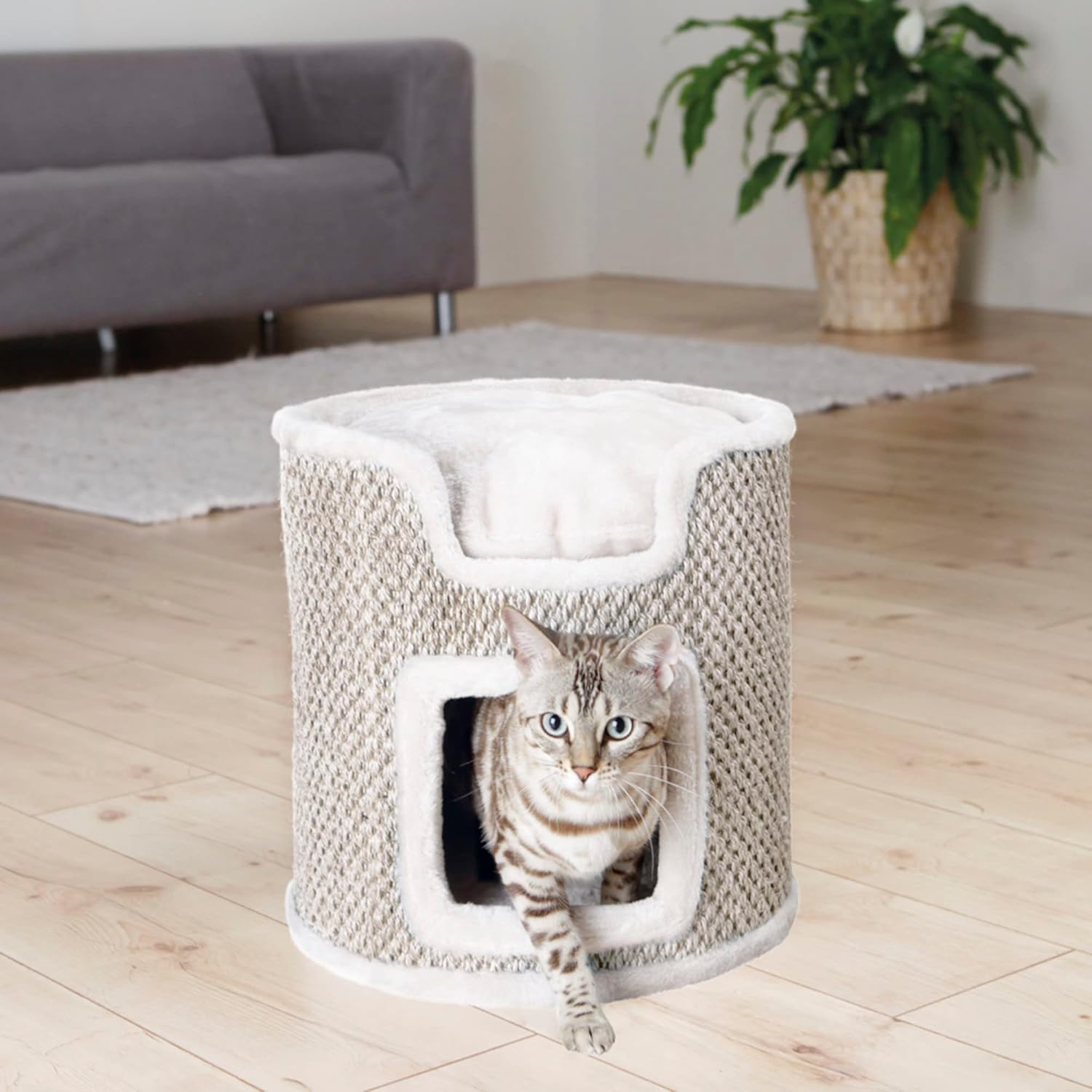 review TRIXIE Ria Cat Condo with Padded Cushion on Top, Sisal Scratching Surface