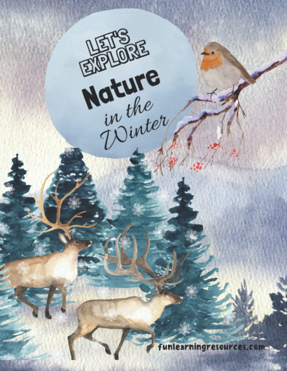 Let's Explore Nature in the Winter: FUN LEARNING RESOURCES COLOUR WORKBOOK (Let's Explore Workbooks)