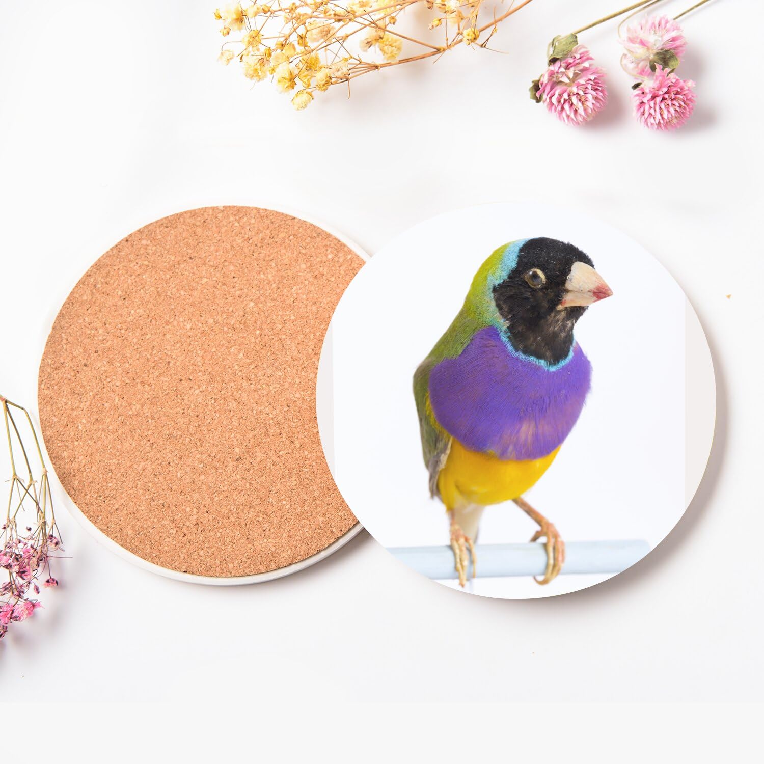Sottobicchiere rotondo in ceramica - Uccello esotico Gouldian Finch Multicolor - Set di 6 (108 x 108 mm)