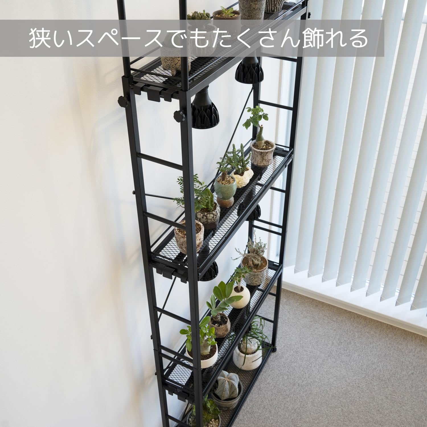 Amazon.co.jp: BIBILAB(ビビラボ) ビザールプランツラックスリム