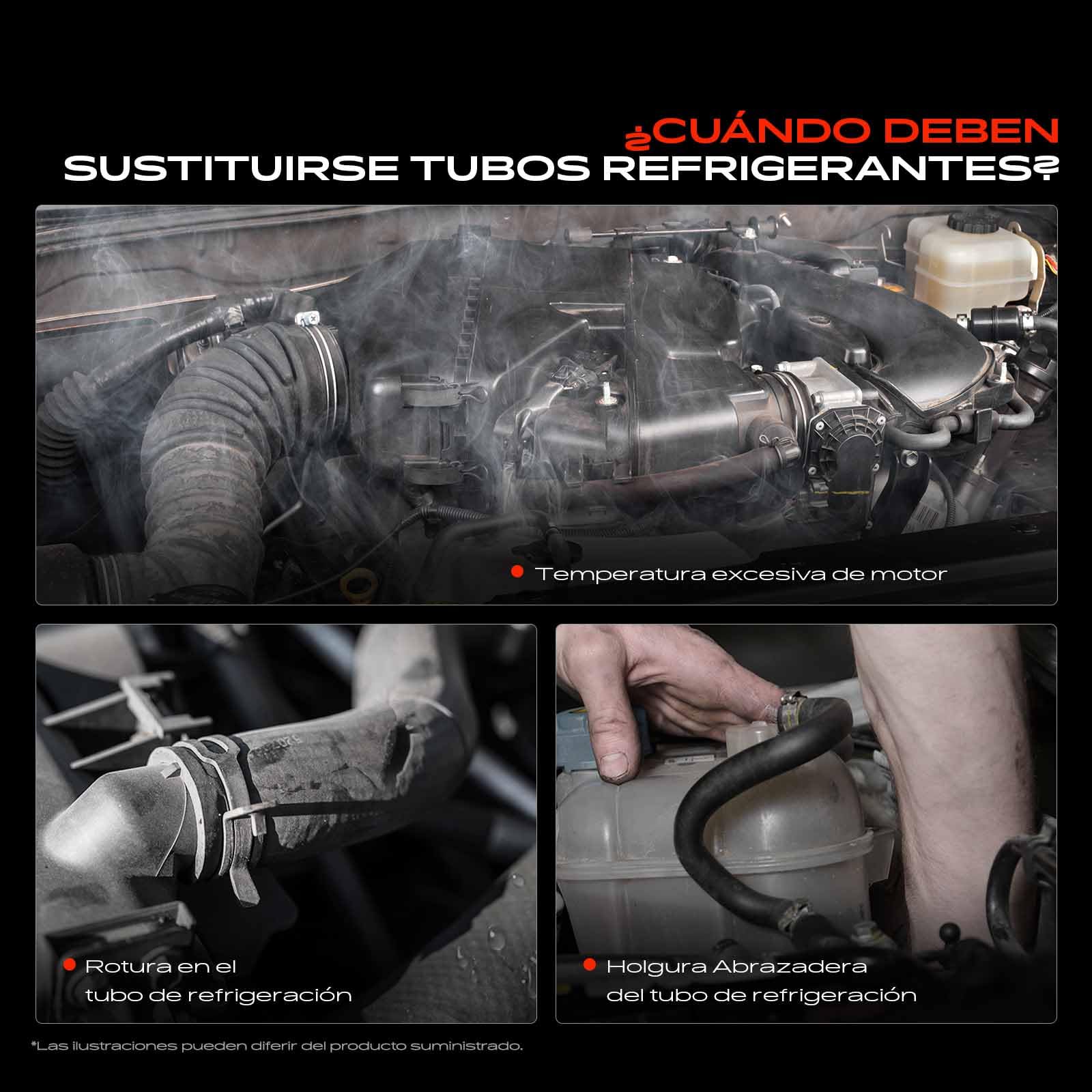Frankberg Manguera de refrigerante manguera del motor delantera | Compatible con: M.i.n.i R.o.a.d.s.t.e.r R59, M.i.n.i Clubman R55, M.i.n.i R56, M.i.n.i Paceman R61