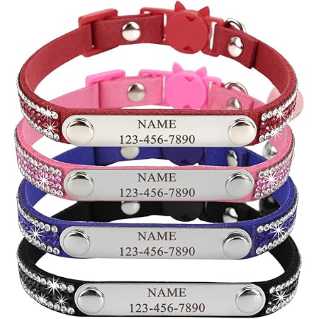 custom bling dog collar