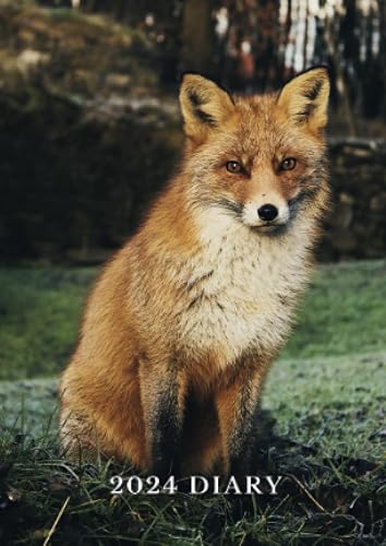 Fox Diary 2024 Slim: A6 diary, week to view, diary planner 2024-25, perfect gift for women, men, and fox lovers, (4.25" x 6")