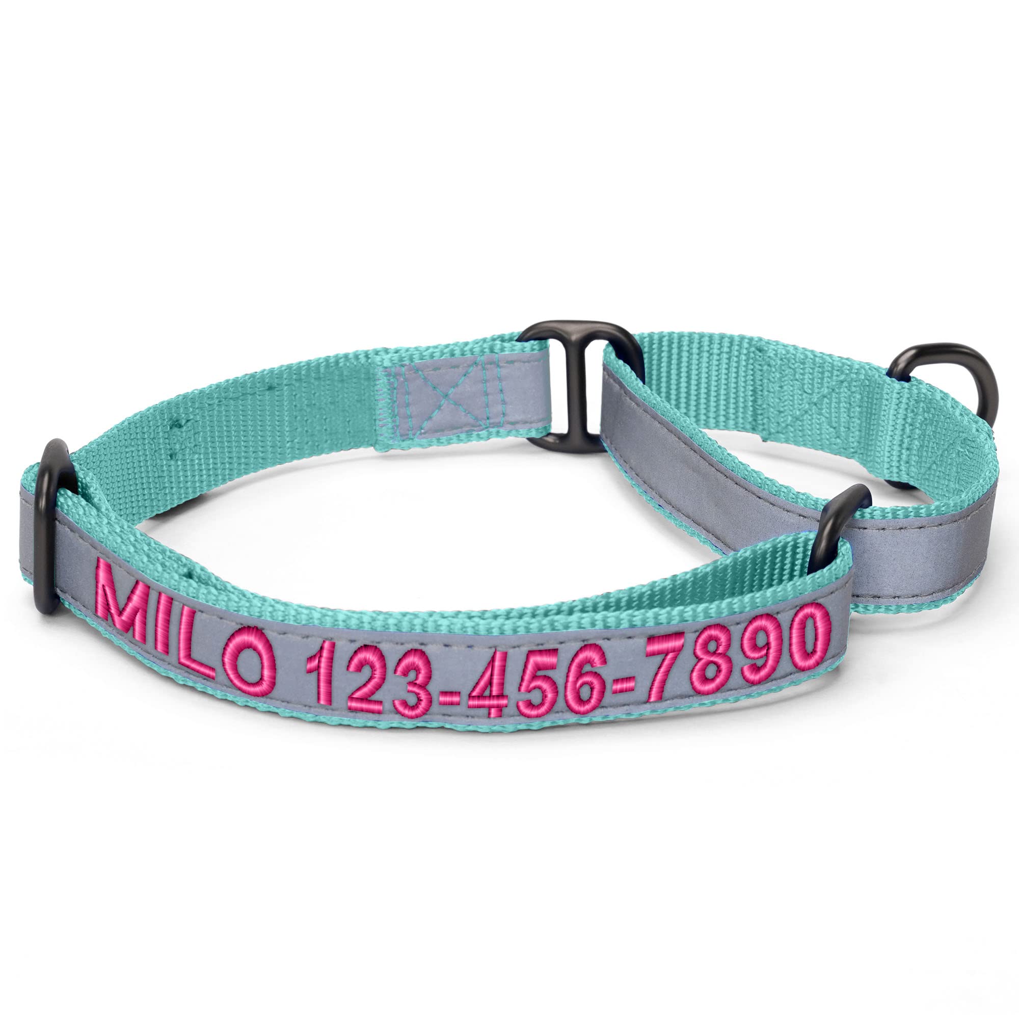 Pawtitas Customized Martingale Dog Collar