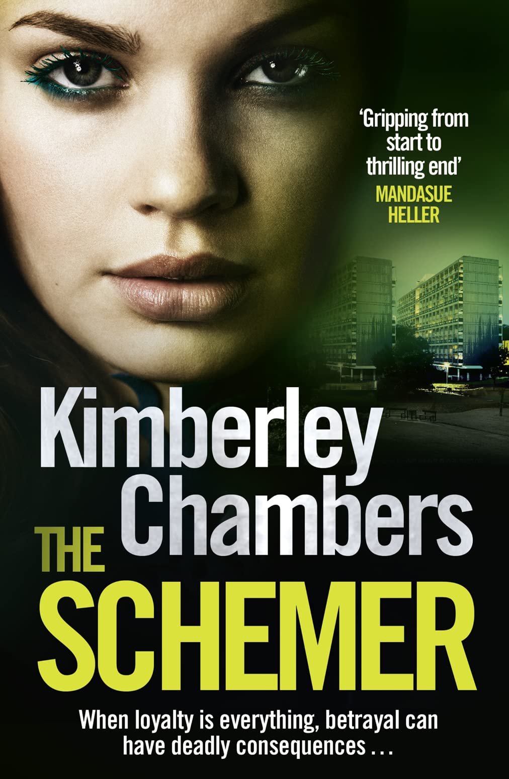 The Schemer: A gripping romantic suspense novel from the Sunday Times bestselling author