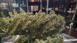 Review Image by Scholar Sage Scholar Sage