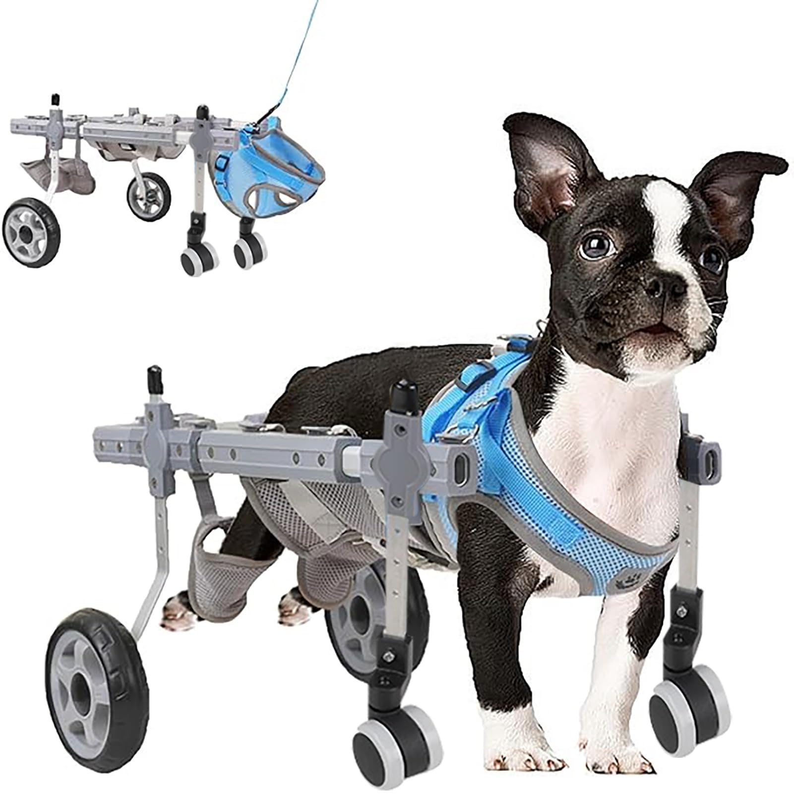 Silla de ruedas para mascotas en paseos al aire libre con estructura metálica ajustable