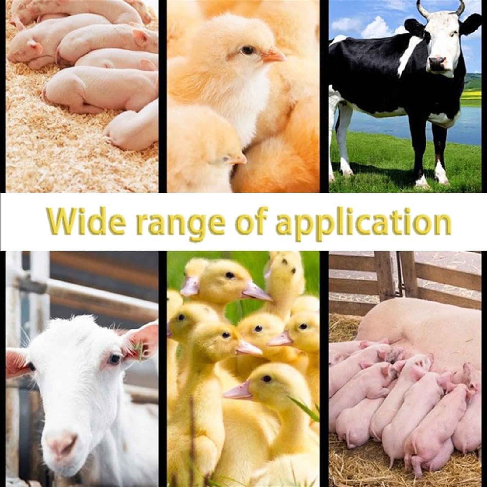 NEZIH Lampada riscaldante for rettili a infrarossi, lampada for chioccia a temperatura regolabile, riscaldatore for pollaio, lampada riscaldante for animali for conigli, cuccioli