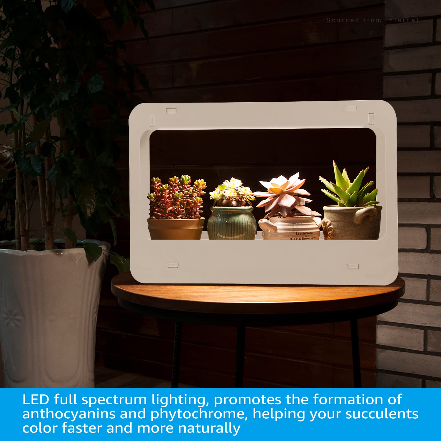 TORCHSTAR LED Indoor Herb Garden, CRI 95+ Full Spectrum Light, 24V