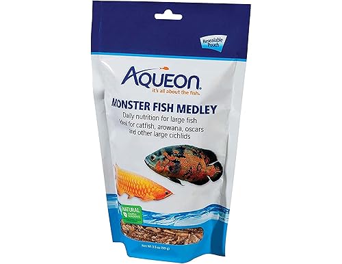 A Queued Monster Medley of A Meal for Gigantic Aquarium Fish!