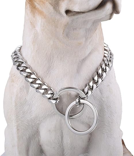 dog silver chain