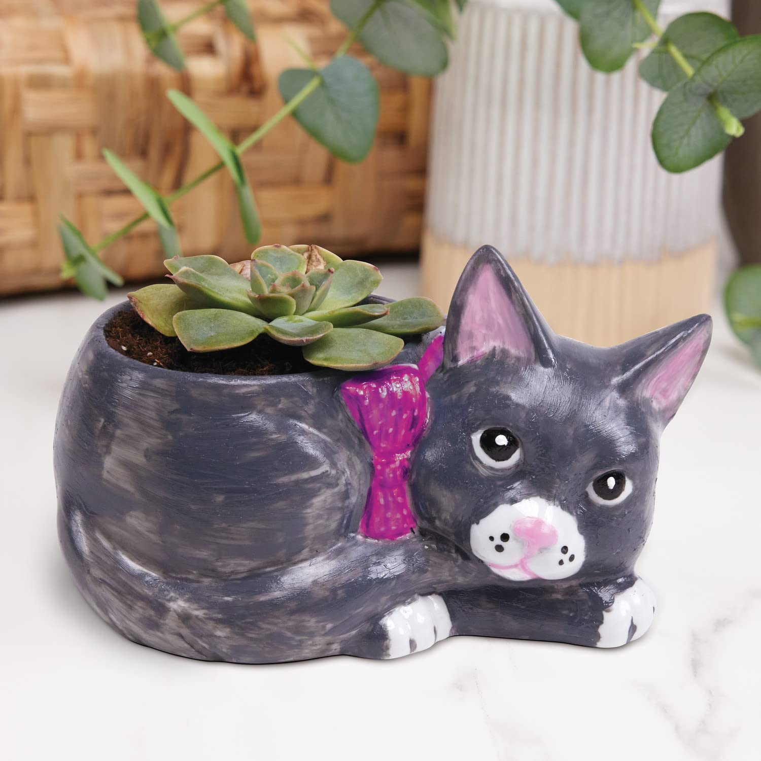 MindWare Paint Your Own Cat Dish – Figurines de peinture en porcelaine pour enfants, adolescents et adultes à partir de 8 ans – Comprend 12 peintures et 2 pinceaux