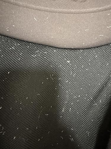Bottom leather is cheap quality