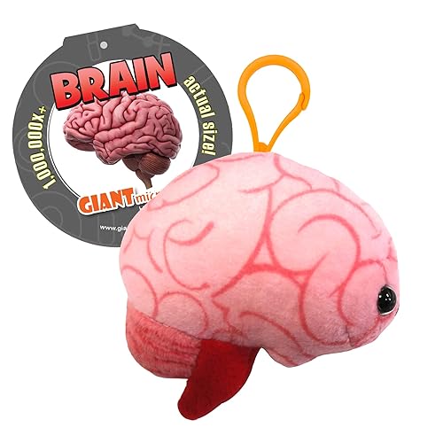 GIANT MICROBES Brain Plush Keychain, Gift for Med Student, Gifts