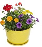 MyGift 7 Inch Round Matte Black Ceramic Plant Pot with Drainage Hole and Attached Saucer, Modern Decorative Embossed Sunburst Planter Container for Indoor Home Garden