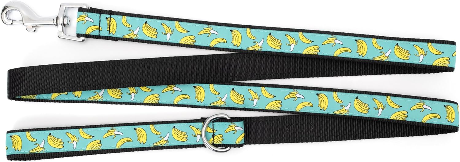 THE WORTHY DOG Go Bananas Patterned Nylon Leash for Dogs, Stylish, Durable, Woven Ribbon - Teal, Small