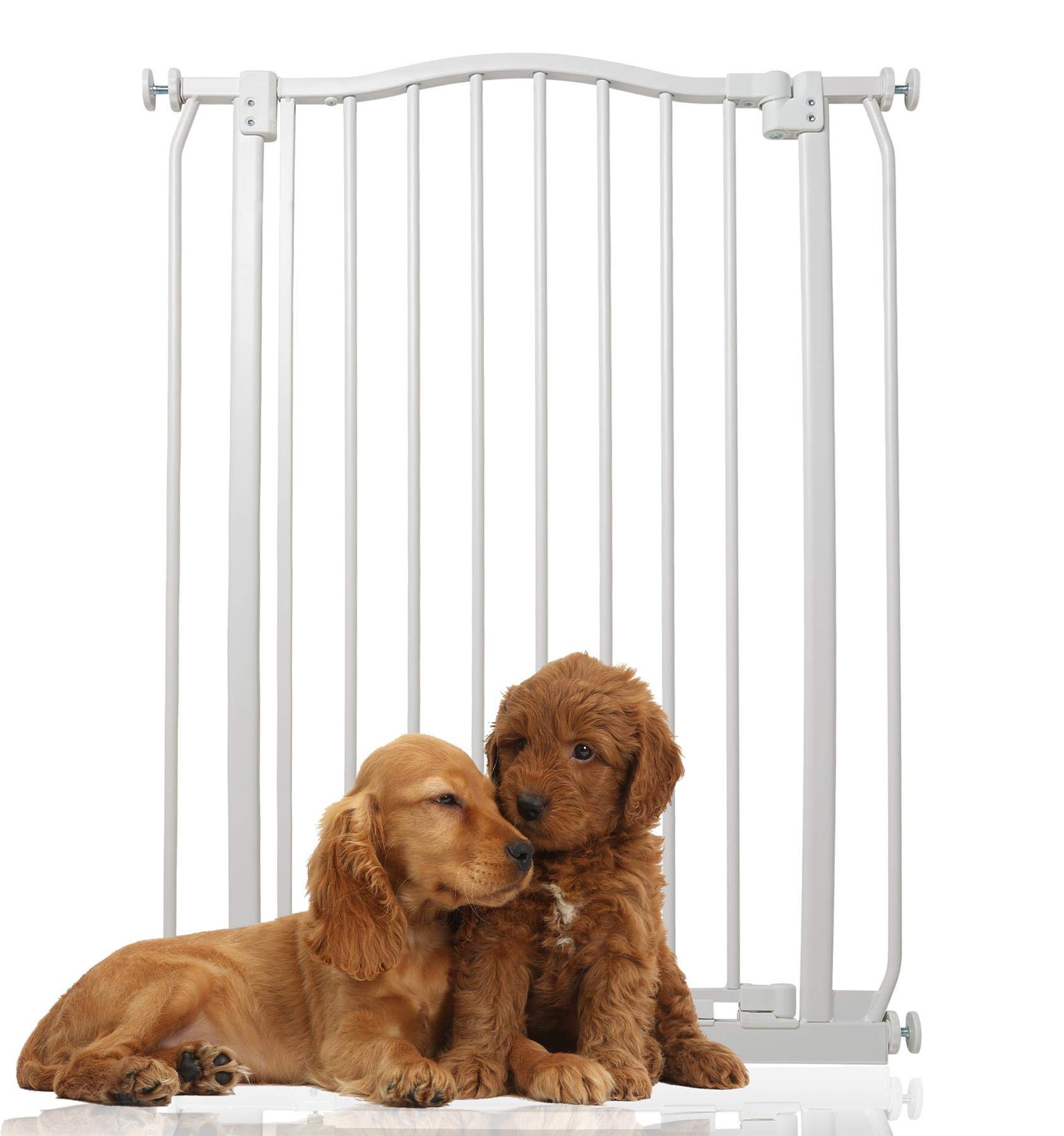 BettacareExtra Tall Curved Top Dog Gate, 71cm - 80cm, Matt White, Extra Tall 100cm in Height, Pressure Fit Pet Gate for Dog and Puppy, Pet and Dog Barrier, Easy Installation
