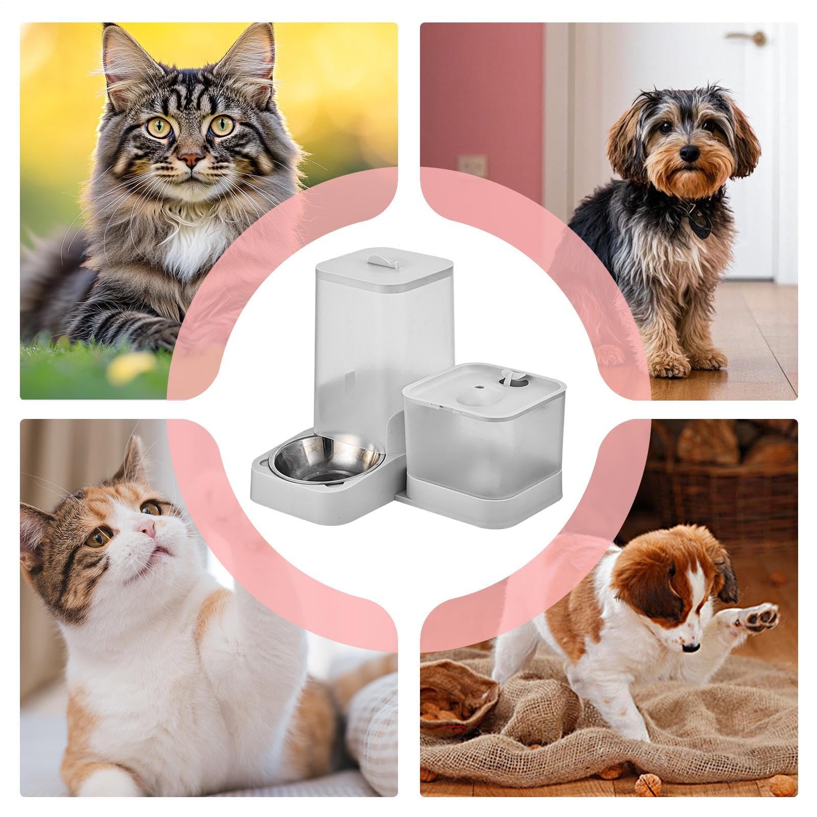 Automatisches Tierfutter - Katzenfutter Spender Mit Wasserspender - Trinkschale Mit Edelstahlschüssel Und Aufbewahrungsbehälter Für Kleine Mittlere Und Große Haustiere