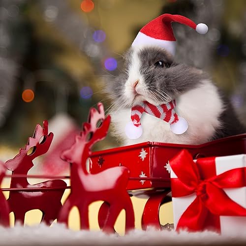 Miniatura 2 de Satiri Disfraz de Navidad de animal pequeño, mini sombrero de Santa con bufanda para hámster, conejillo de indias, chinchilla, erizo, lagarto,