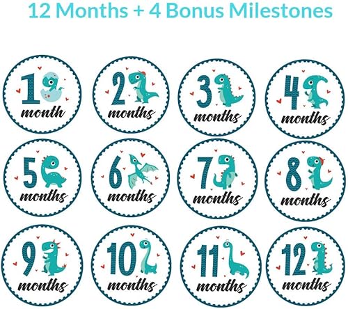 Miniatura 3 de HarperLynn - Calcomanías mensuales para bebé (16 calcomanías, dinosaurio), accesorio de fotos de recién nacido para fotos, gran regalo para padres