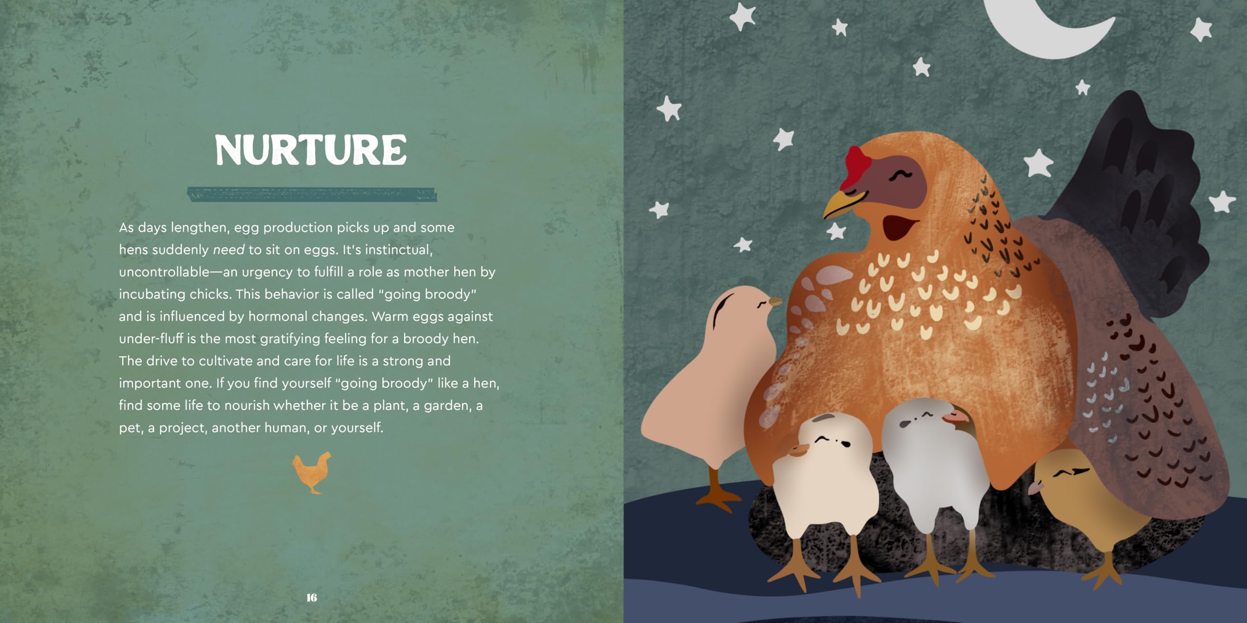 Therapy Chickens: Let the Wisdom of the Flock Bring You Joy