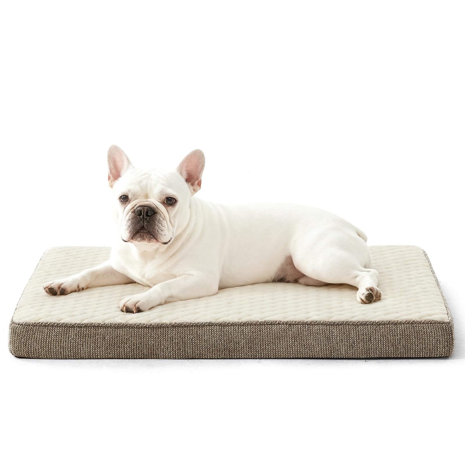 JOEJOY Orthopedic Dog Bed for Small Dogs