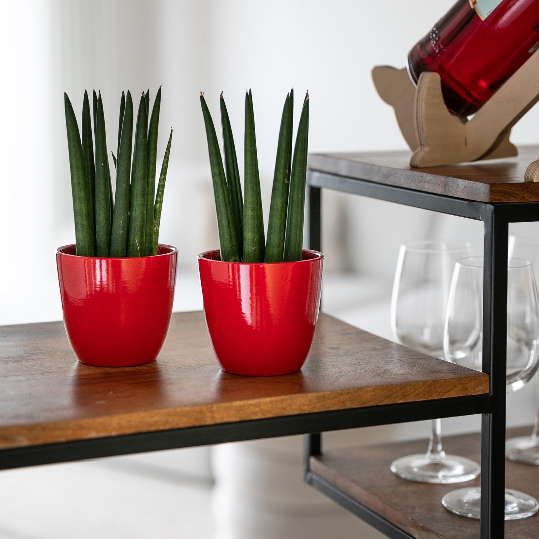 Set di 2 Vasi in terracotta | Misure D.10 cm H.9 cm | Ideali per Piante, Fiori e Bonsai. Coppia di Vasi da Interno ed Esterno | Portavasi Eleganti per Casa, Giardino, Balcone, Terrazzo (Rossi)