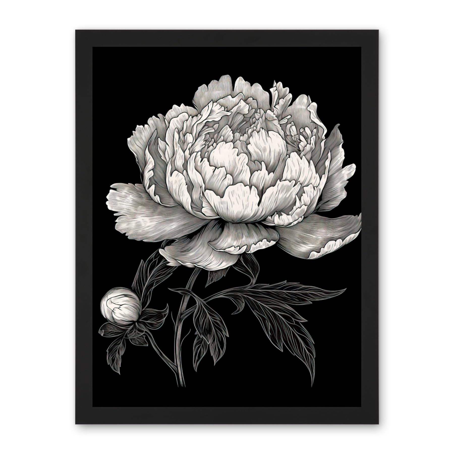 Artery8 A Peony Flower Bloom Black and White Blind Contour Artwork Framed Wall Art Print 18X24 Inch
