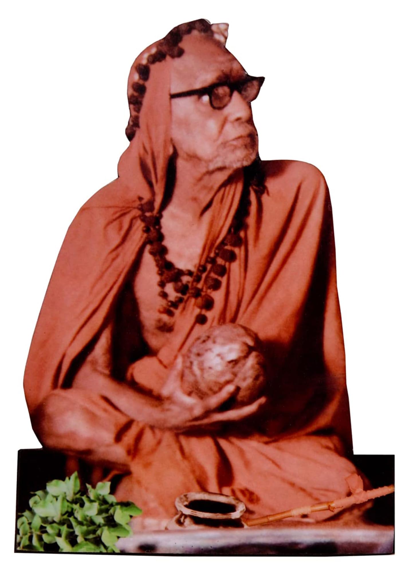 Vils Sankaracharya Photo Frame - Divine Blessing -1