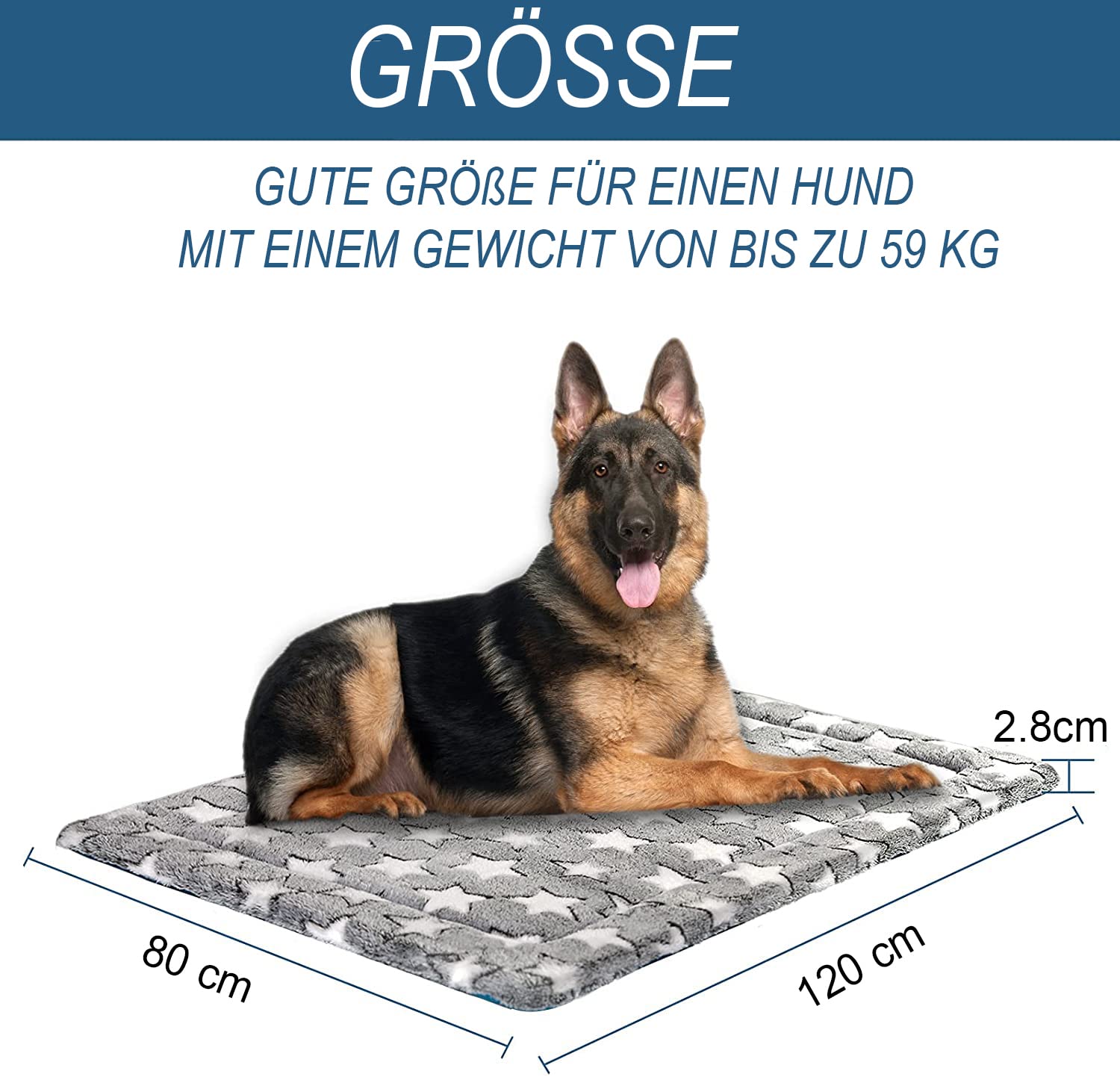 SuperKissen24. Cuccia Cane, Cuccia Gatto - Reversibile Cuscino per Cani di Media/Grande Taglia - Materasso Cane - Lavabile Cuscino per Cane - Tappetini Cane, Tappetino Gatto - 120x80 cm Stelle