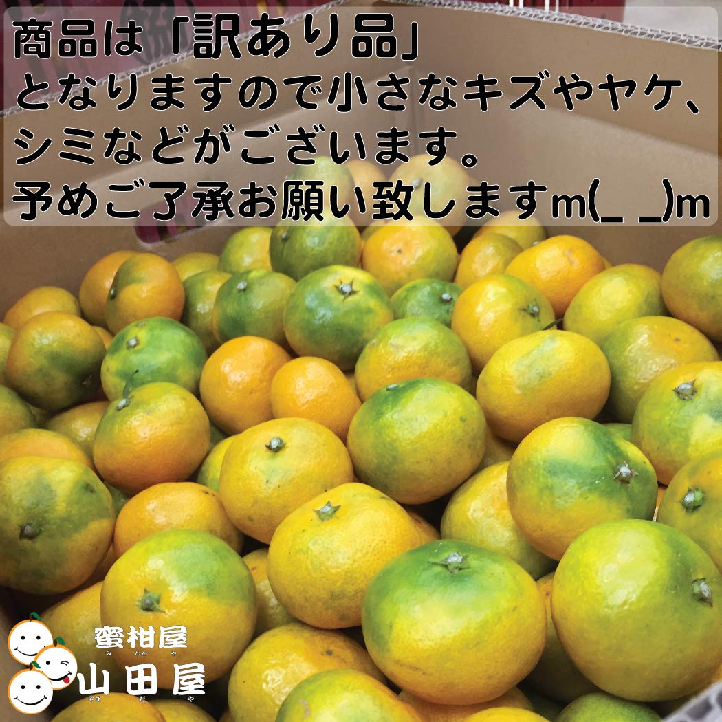 Amazon.co.jp: 愛媛産 早生みかん10K （家庭用）Lサイズ～M