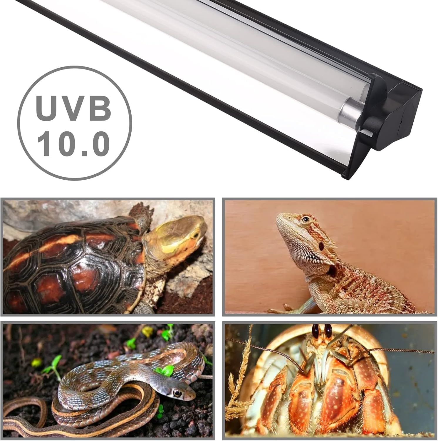 DERNORD T5 UVB Lampada ad Alto Rendimento 10.0 24W 24 Inch per Tartaruga, Drago Barbuto, Geco Leopard, Lucertola, Serpenti e Altro